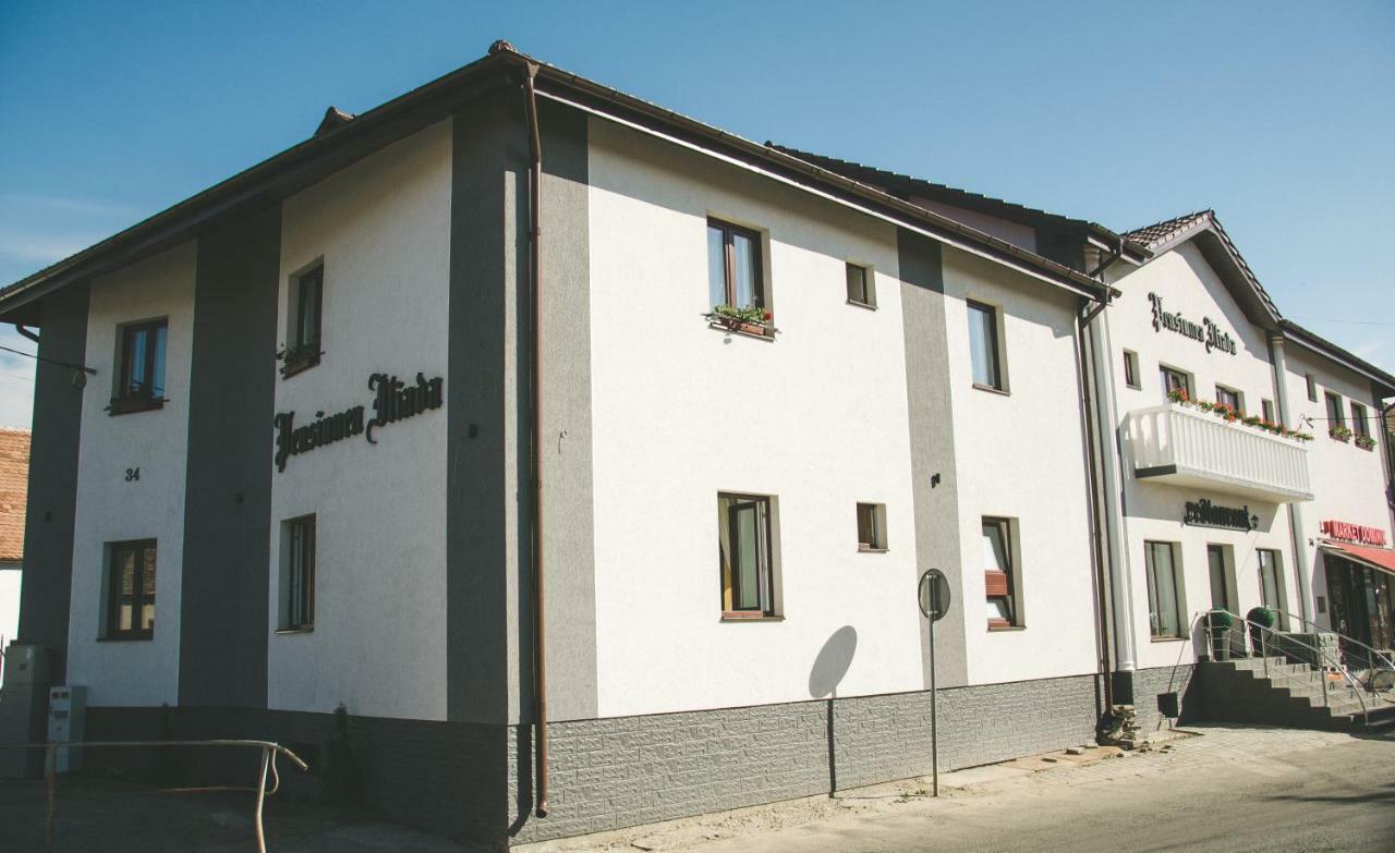 Pensiunea Iliada Sibiu Exterior foto