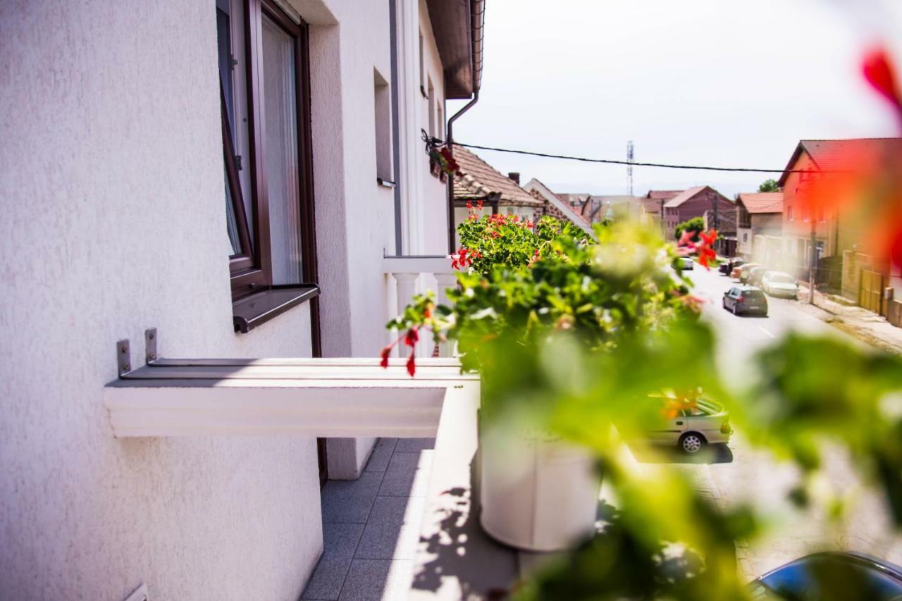 Pensiunea Iliada Sibiu Exterior foto